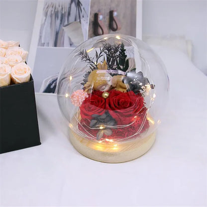 2sets/pack Diameter=15cm Middle Size Round Glass Dome Vase Home Deocration Luminous Log Base Transparent Cover Wedding Gift