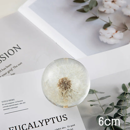 Dandelion Crystal Ball Decoration Christmas Gift for Girlfriend Sunflower Lover Crystal Ball Female Birthday Present M2