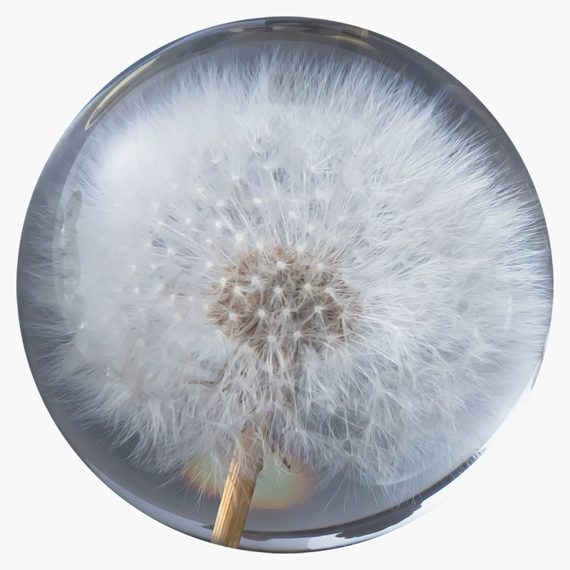 Dandelion Crystal Ball Decoration Christmas Gift for Girlfriend Sunflower Lover Crystal Ball Female Birthday Present M2