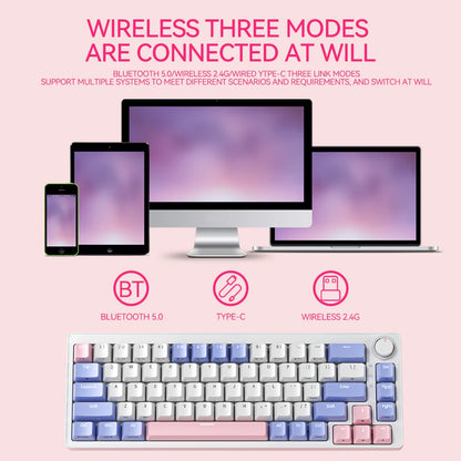 FuryCube ZA68 Pro(EN/RU)  68 Keys Mechanical Keyboard Hot Swappable 3 Modes PBT RGB 65% Gaming Keyboards Linear Switch