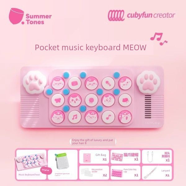 Pocket Music Keyboard Meow Cat Cat Paw Pink Blue Electronic Keyboard MIDI Piano Light Meet Christmas Gift