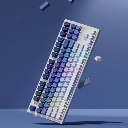 135 Keys Whale of Dream PBT Double Shot Keycaps Side Printed Shine Through Keycaps OEM Profile for MX Switches Gaming Keyboards